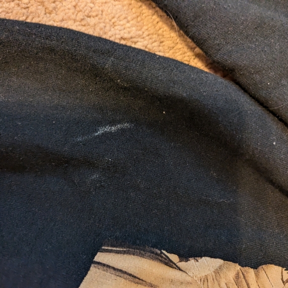 Fearless Taylor's Version graphic black crew neck (Taylor Swift merch) - Picture 8 of 9